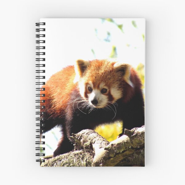 Item preview, Red Panda Walking On Branch designed and sold by EvieTuffs.