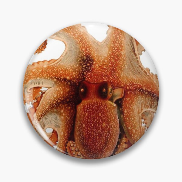 Item preview, octopus spotted White Spotted Octopus – 1896 vintage poster antique designed and sold by mystic lady vintage art and fashion designs.