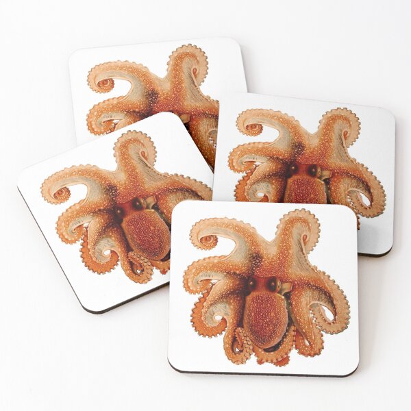 Item preview, octopus spotted White Spotted Octopus – 1896 vintage poster antique designed and sold by mystic lady vintage art and fashion designs.