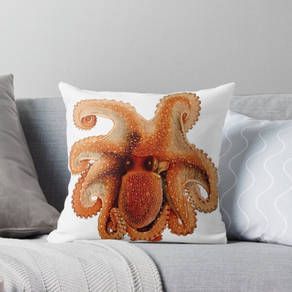Item preview, octopus spotted White Spotted Octopus – 1896 vintage poster antique designed and sold by mystic lady vintage art and fashion designs.