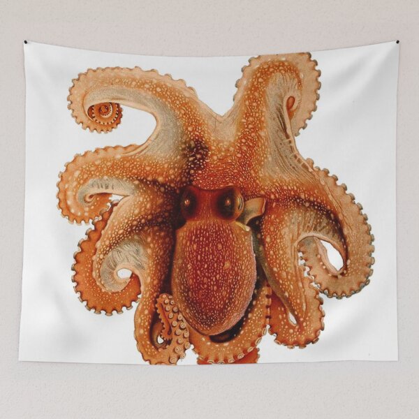 Item preview, octopus spotted White Spotted Octopus – 1896 vintage poster antique designed and sold by mystic lady vintage art and fashion designs.