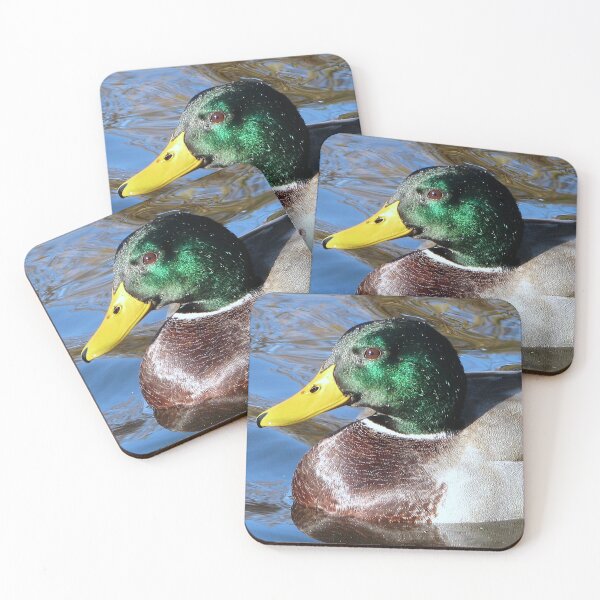Item preview, Mallard and his head of many colours............. designed and sold by Sharon Perrett.