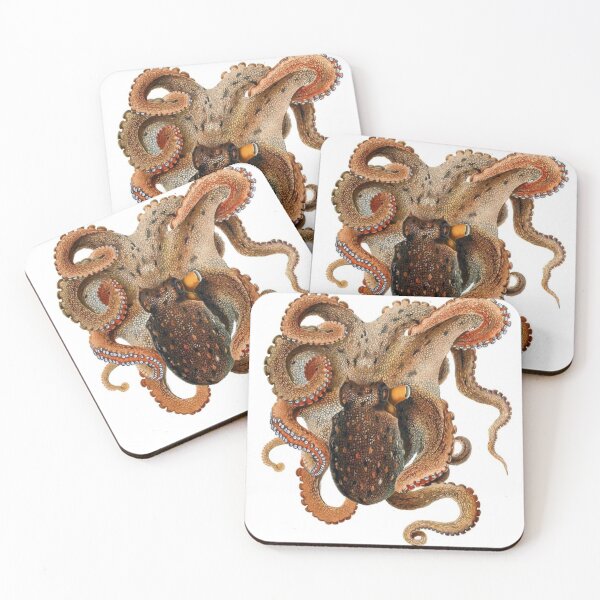 Item preview, octopus vulgaris White Spotted Octopus – 1896 vintage poster antique designed and sold by mystic lady vintage art and fashion designs.