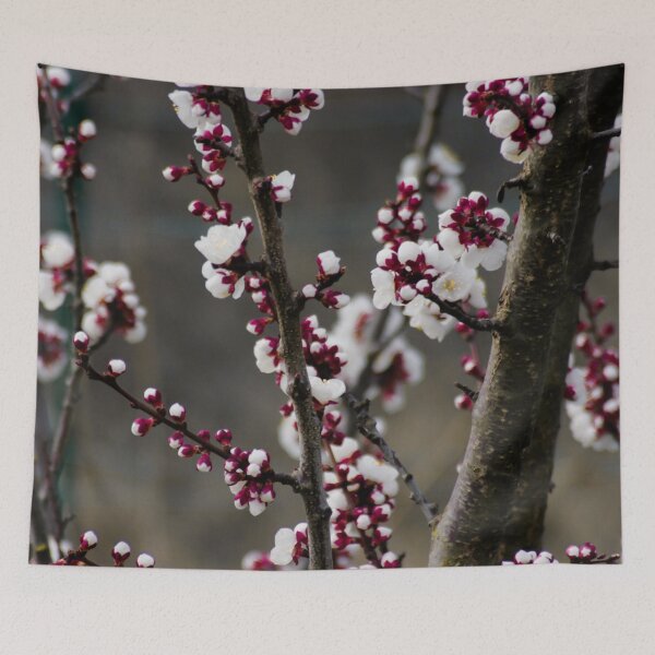 Item preview, CHERRY BLOSSOM TREE designed and sold by Eston Kamau.