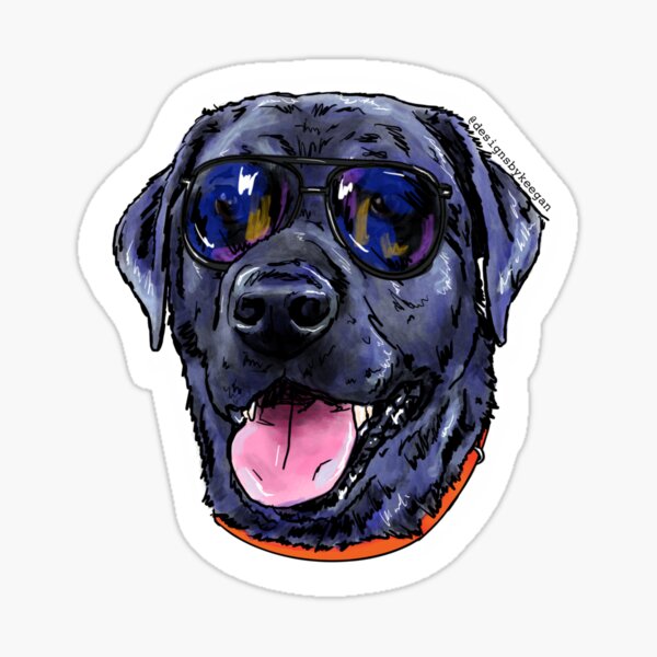 Black Lab in Sunglasses Sticker