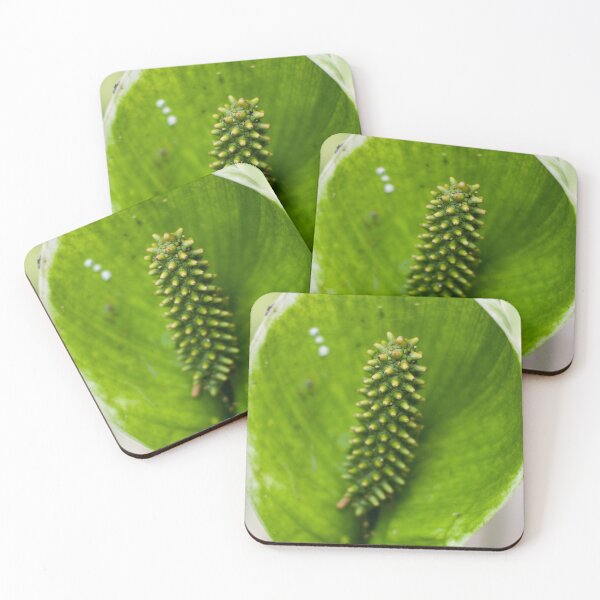 Item preview, Thorny designed and sold by CROBrien.