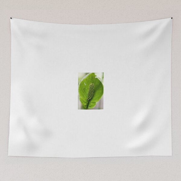 Item preview, Thorny designed and sold by CROBrien.