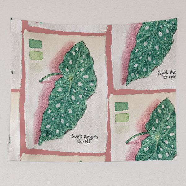 Item preview, Begonia Maculata Single Leaf Watercolor designed and sold by JHermanRussell.