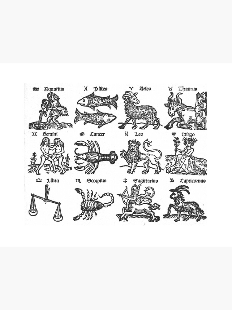 FULL ZODIAC All 12 Signs Old School Astrology Art Board Print