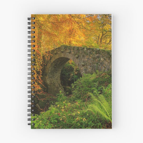 Item preview, Autumn At Foley's Bridge 2 designed and sold by Derek Smyth.