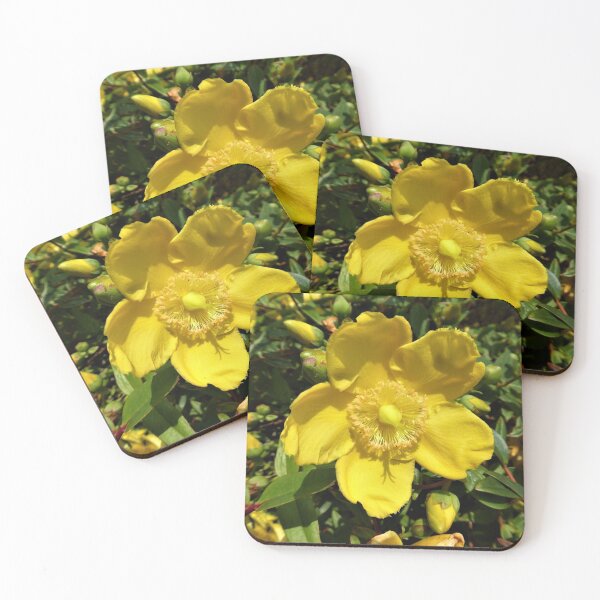 Item preview, Hypericum..............St John's Wort designed and sold by Fara.