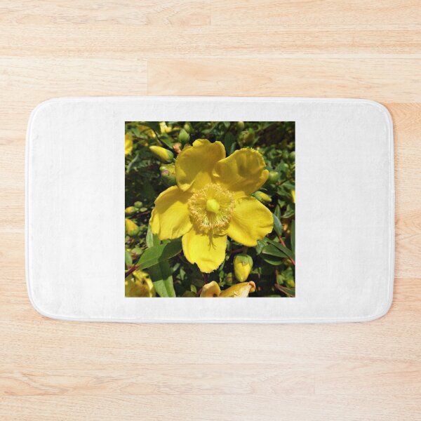 Item preview, Hypericum..............St John's Wort designed and sold by Fara.