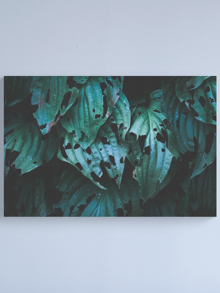 Alternate view of Leaves Canvas Print