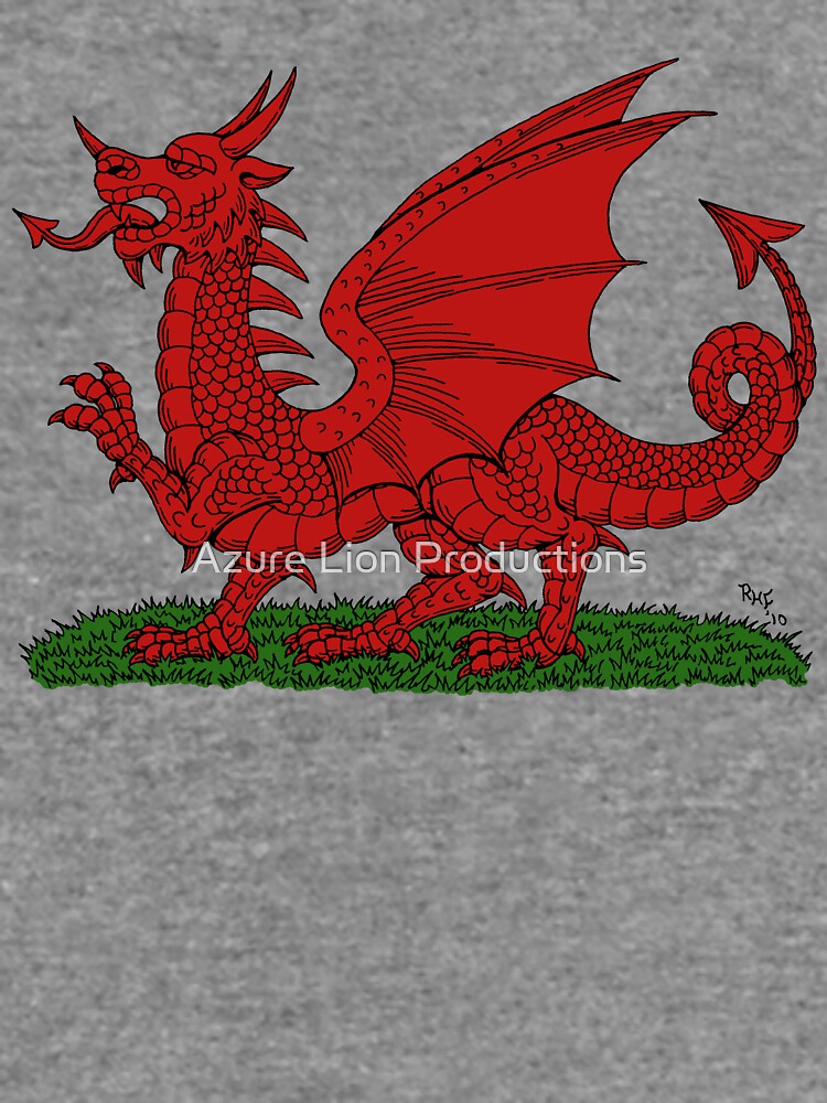 Drache Sweatshirt - Kraftvolles Design Für Individualisten