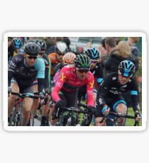 Peloton Sticker