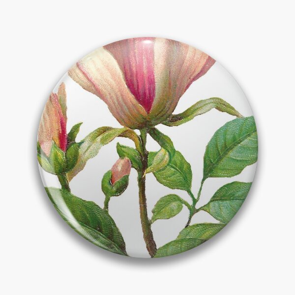Item preview, Chinese ink painting - pink magnolia designed and sold by Kallandra.