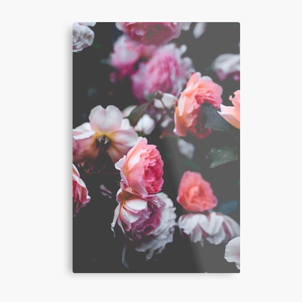 Pastel Metal Print
