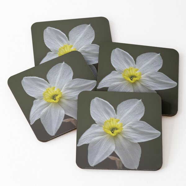 Item preview, Daffodil designed and sold by mfsphotographs.