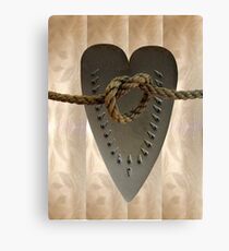 Domesticity Canvas Print