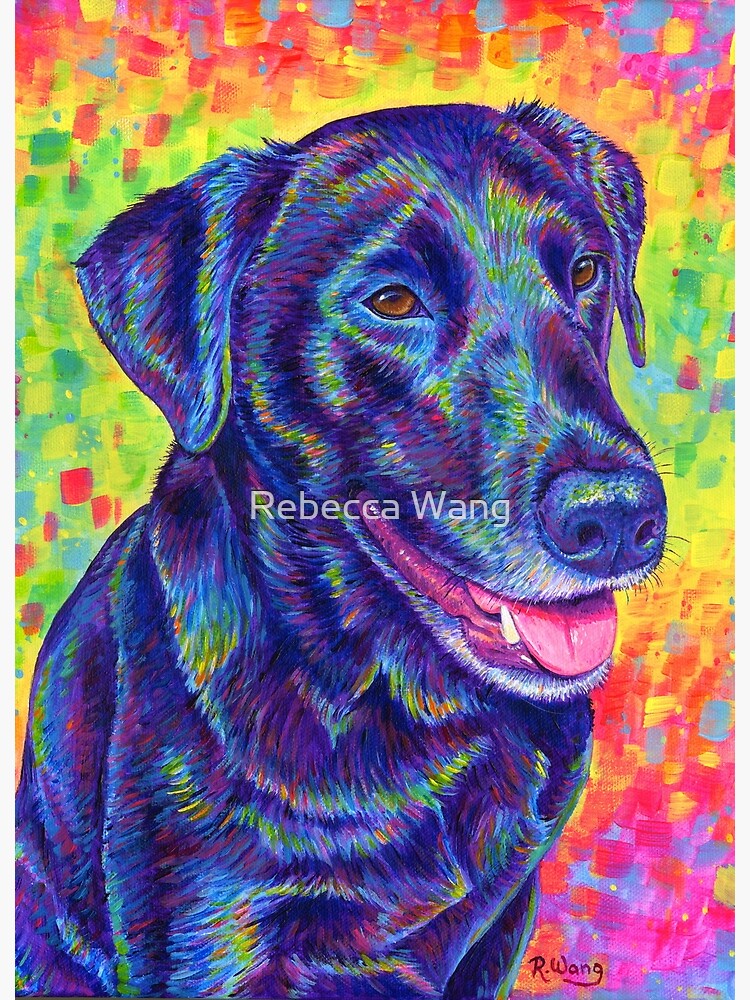 Happy Go Lucky - Rainbow Black Labrador Retriever by lioncrusher
