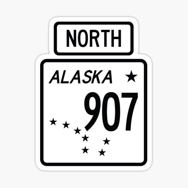 STICKER SKI 907