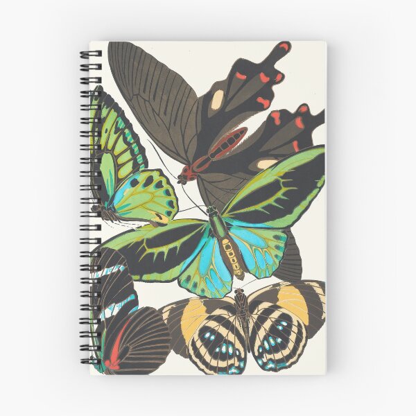 Item preview, Emile-Allain Séguy - Papillons designed and sold by Francisco Couto.
