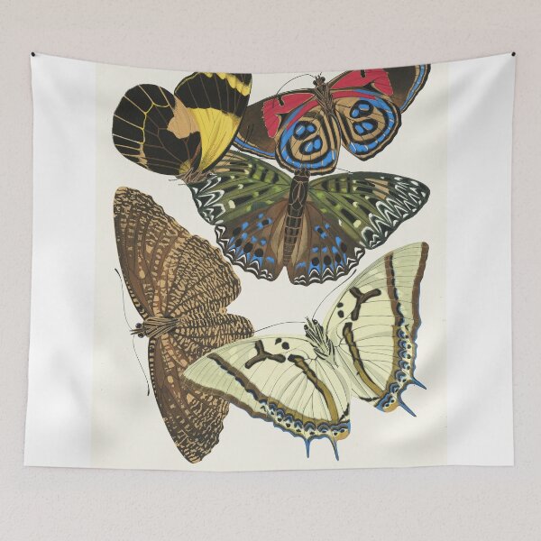 Item preview, Emile-Allain Séguy - Papillons designed and sold by Francisco Couto.