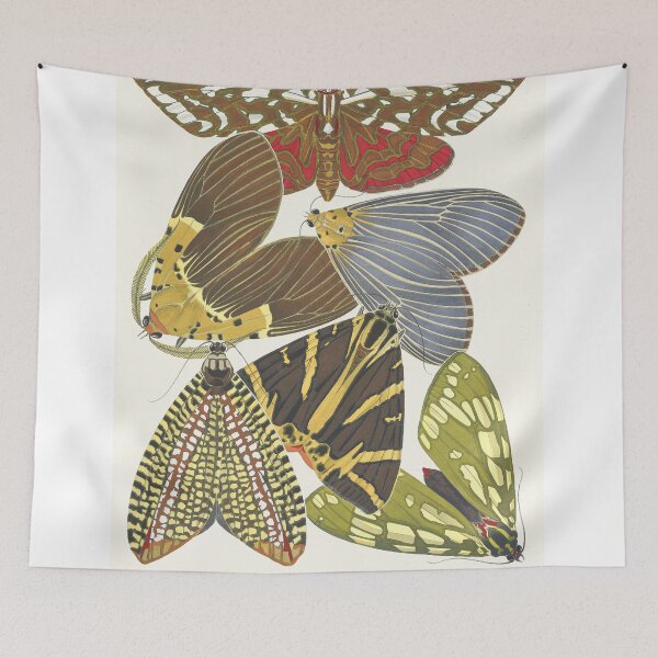 Item preview, Emile-Allain Séguy - Papillons designed and sold by Francisco Couto.