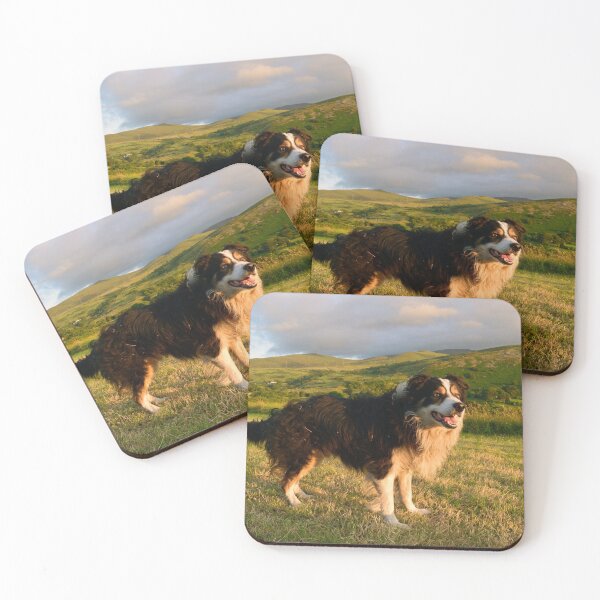 Item preview, The Joy of Laddie designed and sold by Michael Haslam.