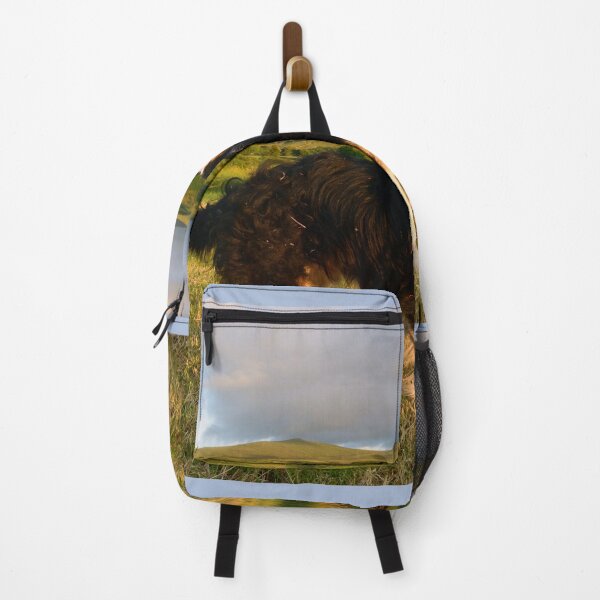 Item preview, The Joy of Laddie designed and sold by Michael Haslam.