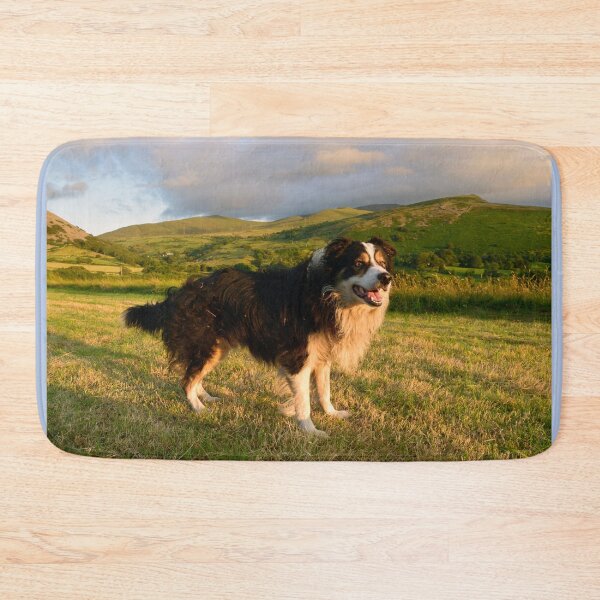 Item preview, The Joy of Laddie designed and sold by Michael Haslam.
