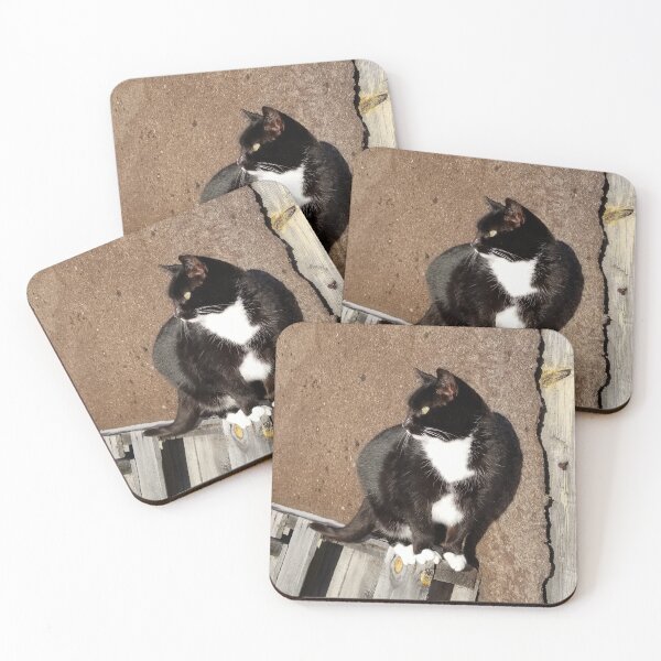 Item preview, Barn Cat on Pallets designed and sold by f2error.