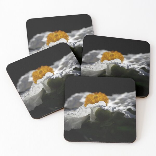 Item preview, fascination designed and sold by MariannaPhotos.