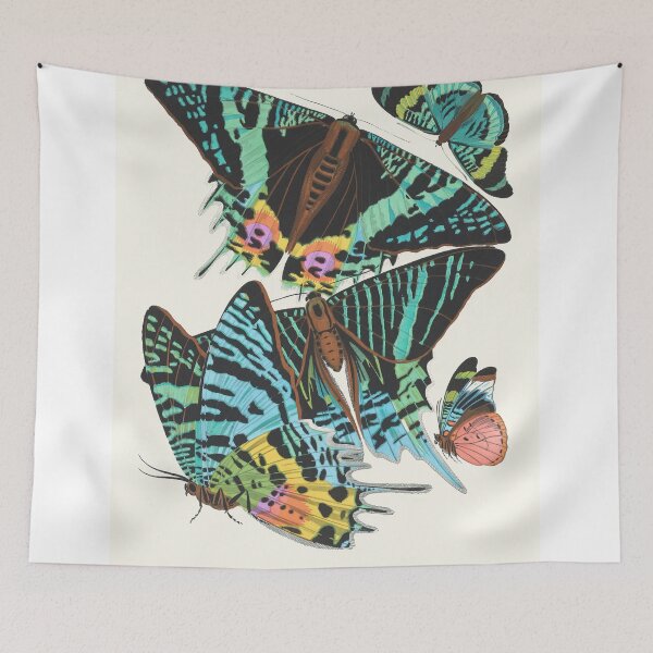 Item preview, Emile-Allain Séguy - Papillons designed and sold by Francisco Couto.