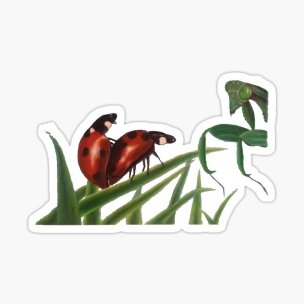 Item preview, Lady Bugs Making Love With a Praying Mantis Looking designed and sold by Godless Beasts.