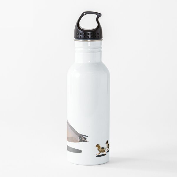 Ducklings Follow Water Bottle