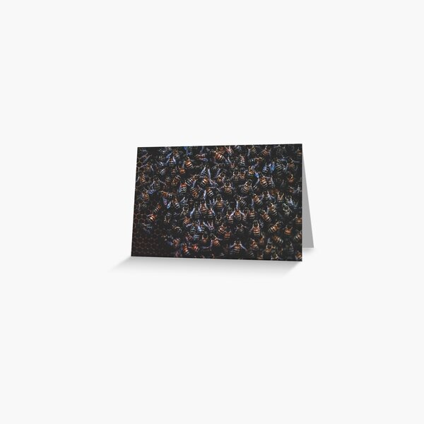 Hive Greeting Card