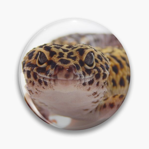 Artikelvorschau, Lächelndes Leopardengeckofoto entworfen und verkauft von bubbaclez.