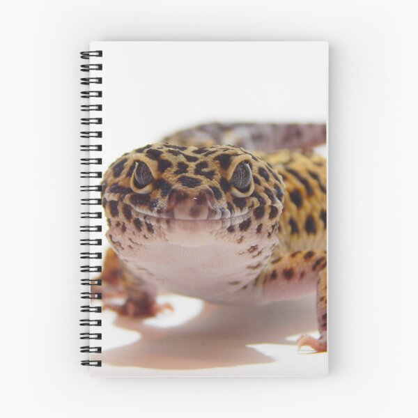 Artikelvorschau, Lächelndes Leopardengeckofoto entworfen und verkauft von bubbaclez.