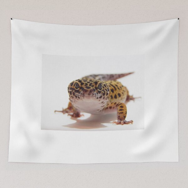 Item preview, Smiling leopard gecko photograph designed and sold by bubbaclez.