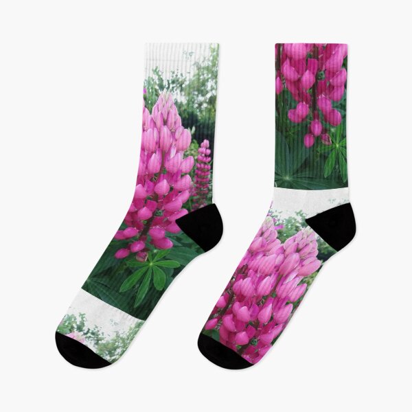 Item preview, Pink lupins photograph designed and sold by esvb.