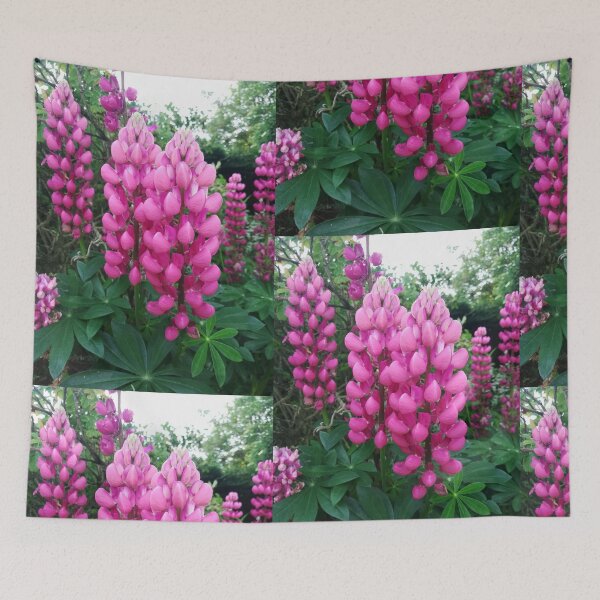 Item preview, Pink lupins photograph designed and sold by esvb.