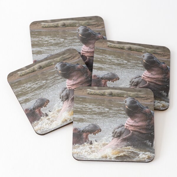 Item preview, Wildlife Behaviour - Hippo Flip  designed and sold by Kellie Netherwood.