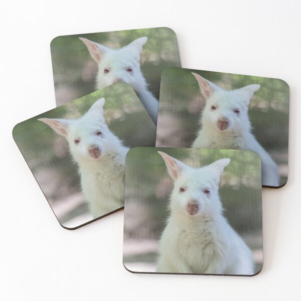 Item preview, Albino Wallaby Joey looking straight at camera designed and sold by Rabbitti.