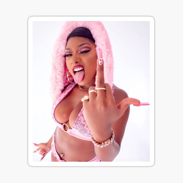Megan Thee Stallion - T-shirt, hoodie, case, poster, sticker Sticker