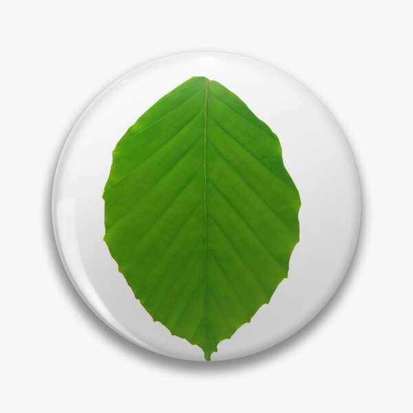 Item preview, Beech leave designed and sold by Treemonk.