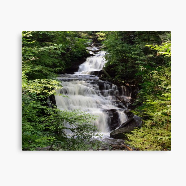 Item preview, Ricketts Glen's Cascading Mohican Falls on Kitchen Creek designed and sold by Gene Walls.
