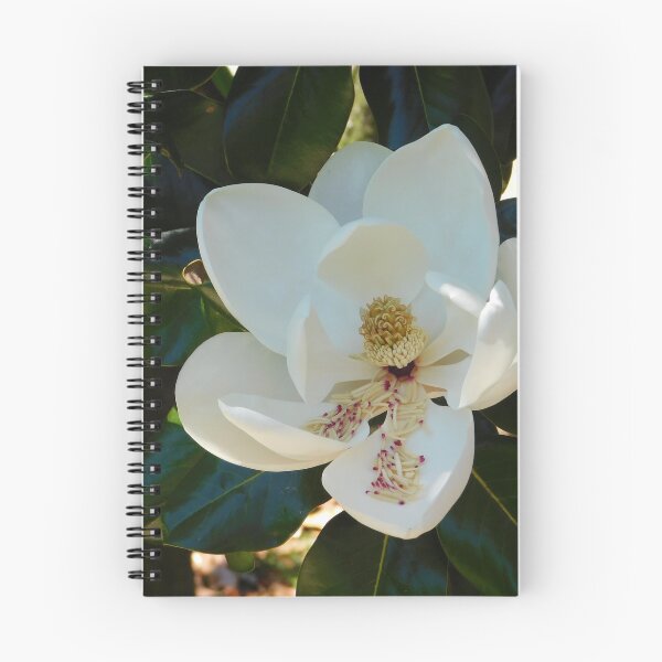 Item preview, Magnolia designed and sold by ttwooton.