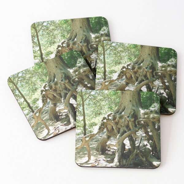 Item preview, Tree Roots designed and sold by ttwooton.