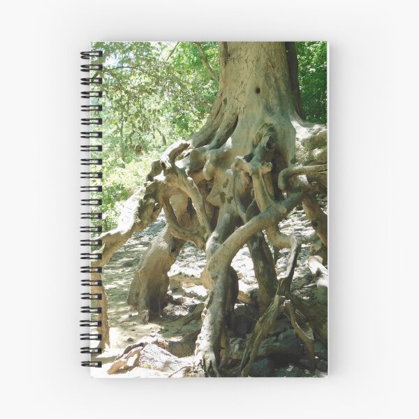 Item preview, Tree Roots designed and sold by ttwooton.
